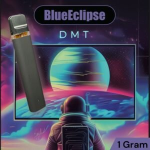 DMT Disposable Vape – 1 gram